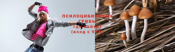 тгк Абинск