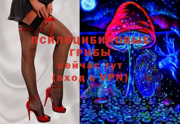 тгк Абинск