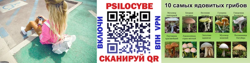 Псилоцибиновые грибы Cubensis  MEGA tor  дарк нет состав  где можно купить   Тавда 