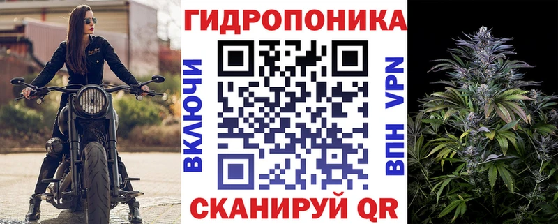 Конопля Amnesia  ОМГ ОМГ ТОР  Тавда  цены наркотик 